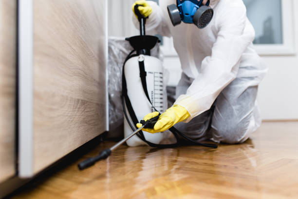 Pest Control for Restaurants in Lisle, IL