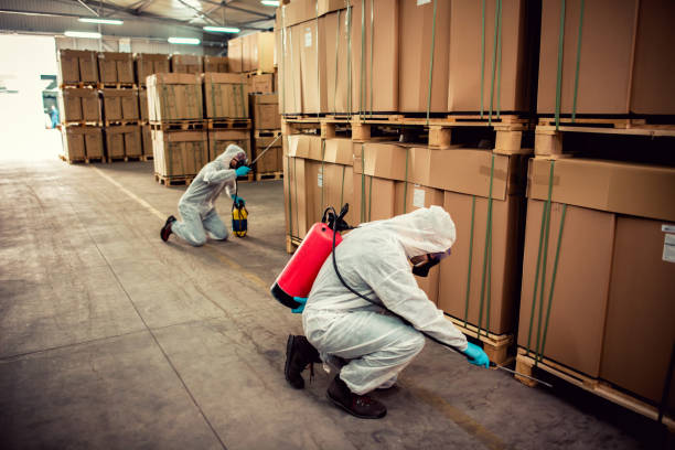 Best Best Pest Control Companies  in Lisle, IL