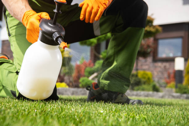 Best Mosquito Control Services  in Lisle, IL