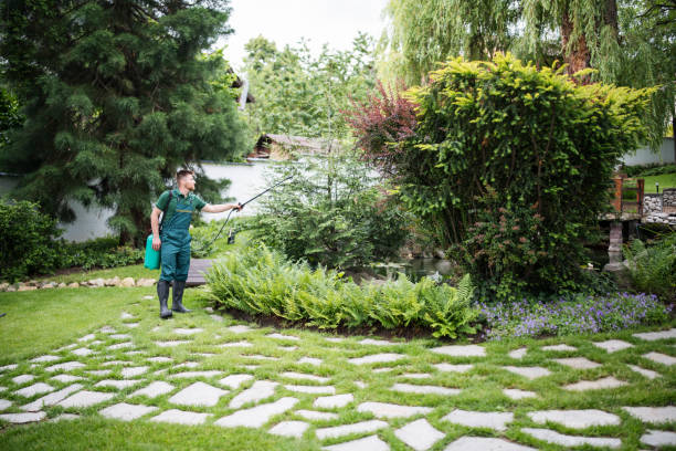 Best Exterminator Services  in Lisle, IL