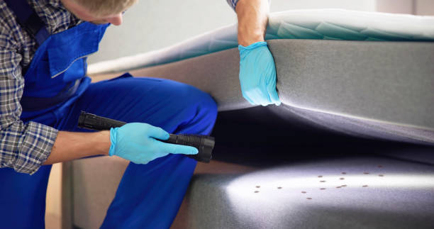 Best Affordable Pest Control Services  in Lisle, IL