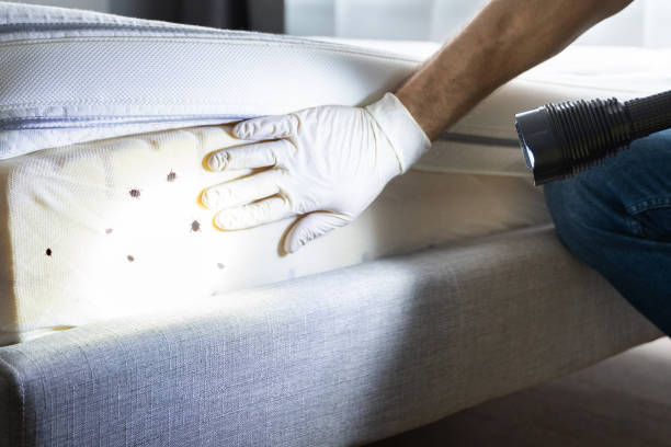 Best Commercial Pest Control Services  in Lisle, IL