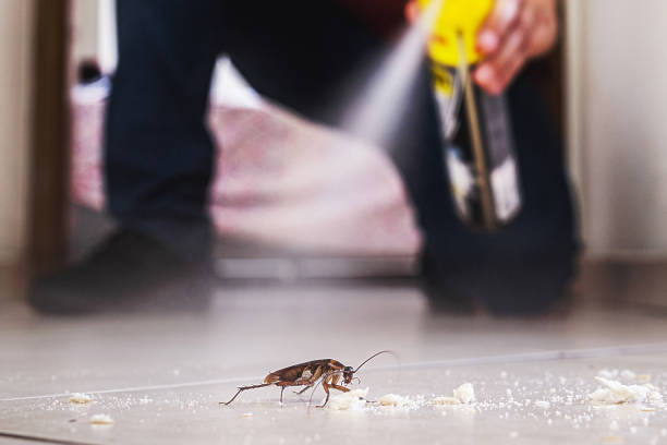 Best Pest Control Near Me  in Lisle, IL