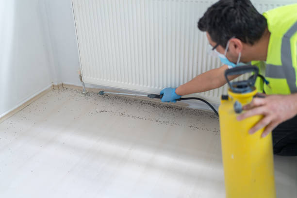 Best Insect Control  in Lisle, IL