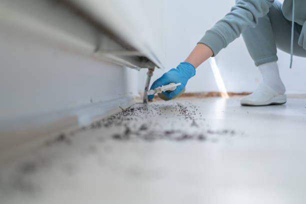 Best Pest Control for Restaurants  in Lisle, IL