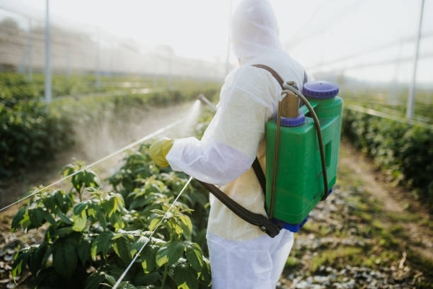 Pest Control Cost in Lisle, IL